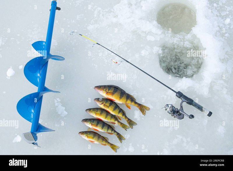 Ice fishing live casino - Experience the Thrill of Ice Fishing in a Live UK Online Casino Setting