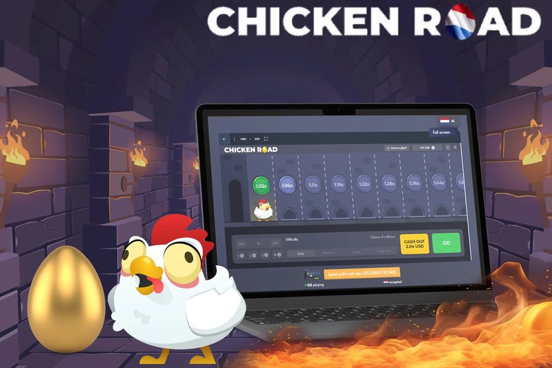 Netherlands - chicken road casino