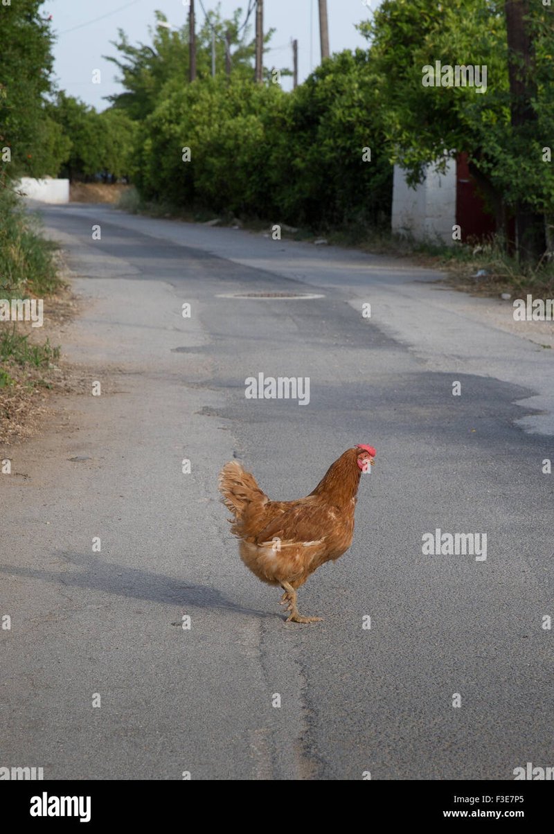 Descubre el secreto detrás de Chicken Road: El juego de azar más emocionante de in Spain Descubre el secreto detrás de Chicken Road: El juego de azar más emocionante de in Spain